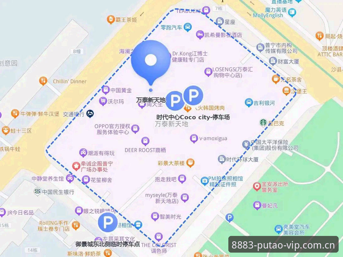 新葡萄8883平台体育赛事信息全面解析：从数据到实战的全流程指南